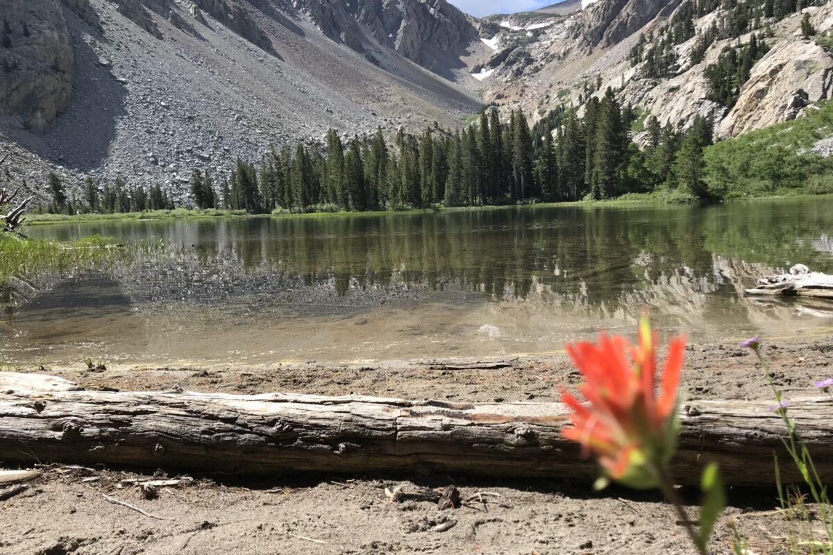 Water Rights Nevada Engineering Firm Services Robison Engineering